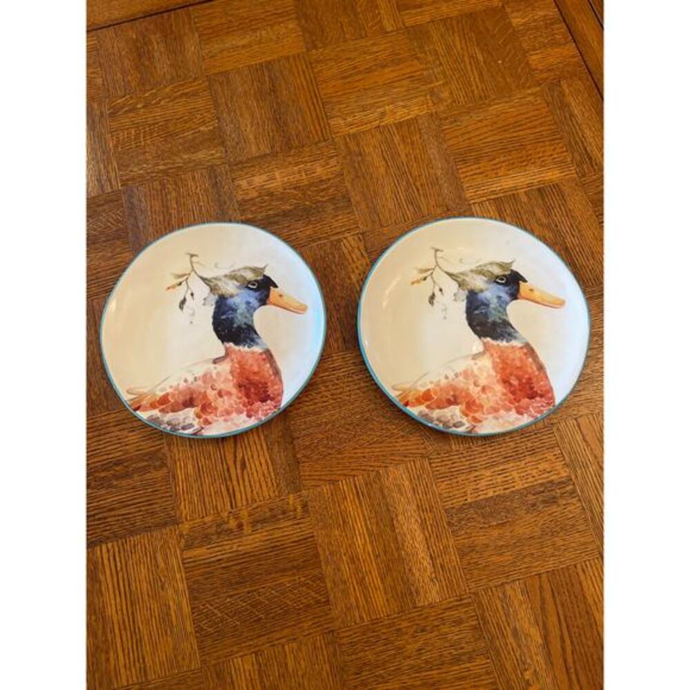 Retired Pier 1 farm animal plates set of 2 Ducks